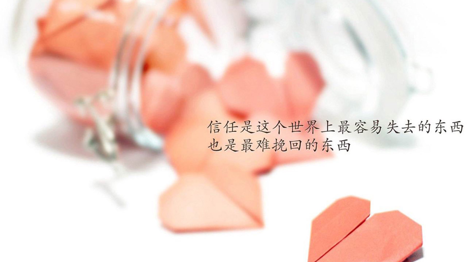 世界举重裁判评分平台使用帮助与常见问题汇总，世界举重比赛规则
